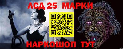 МДПВ Гусев