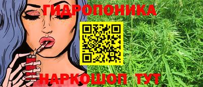 МДПВ Гусев