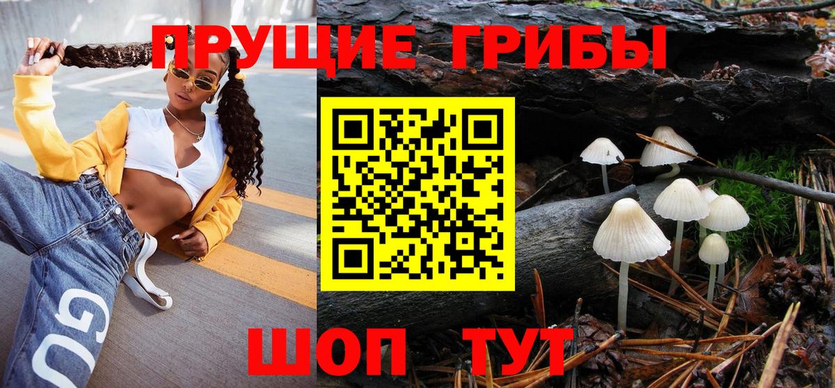 Галлюциногенные грибы GOLDEN TEACHER Зеленокумск