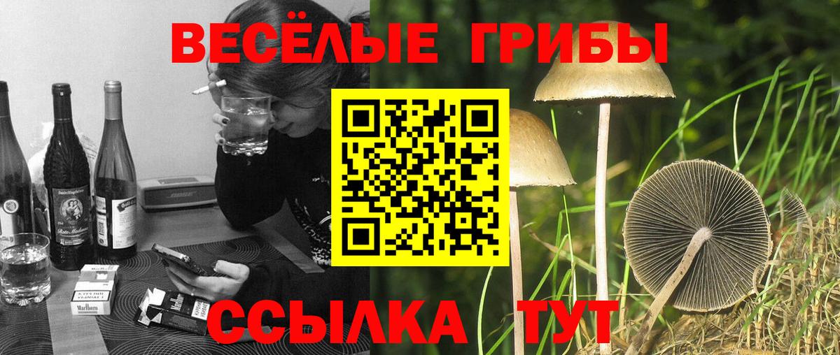 Псилоцибиновые грибы Magic Shrooms  Вход с VPN  Зеленокумск 